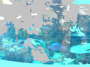 ПР 501.png